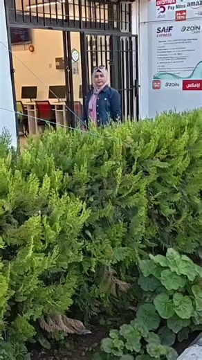 فيديوهات أنشأها 👑Mim{A}👑84 (@mareya.mim.84) باستخدام original sound - 🦋Piççi Fàrhàñ 🦋