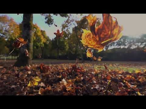Wolfgang Amadeus Mozart / "Requiem" / Best parts - "Lacrymosa" / HD / 4K video /