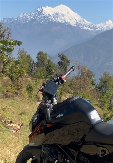 Double View Magic in One Frame for Your Next Project