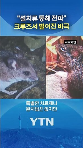 Hantavirus spread on cruise ship #shorts / YTN