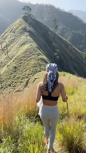 Being the second largest territory in the Caribbean, and the most diverse in topography, DR offers a variety of hiking opportunities🏞🌿 🌿Our national parks offer the perfect settings to start with🌿: 🏞→ The breathtaking views of José del Carmen Ramírez National Park in San Juan de La Maguana will make your hiking experience an unforgettable one. 🗿→Hike the Cotubanamá National Park, and feel the history of the Taínos as you pass along their caves. 🌄→ Explore Los Haitises National Park on lan