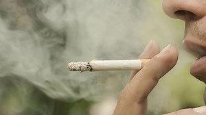 Your cigarettes literally kill everything