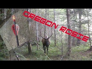 Oregon Roosevelt Hunting 2022