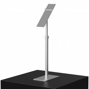 [Hot Item] Elegant Brushed Stainless Steel Shoe Display Stand for Upscale Retail