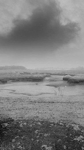Nick Drake | Watch the brand-new video for Nick Drake’s ‘River Man’ on YouTube, taken from the original ‘Five Leaves Left’ album. A film by Bill... | Instagram