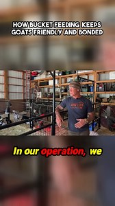 🐐❤️ When baby goats gather at the lamb bar, it’s not just about milk—it’s about connection. See how a simple feeding routine helps: ✨ Build trust ✨ Strengthen social instincts ✨ Create joy for farmer and goat alike This is goat farming with heart. 💕 #GoatLovers #FarmLife #AnimalCare #BucketFeeding #GoatTraining #GoatFarming #FarmJoy | packgoats.com