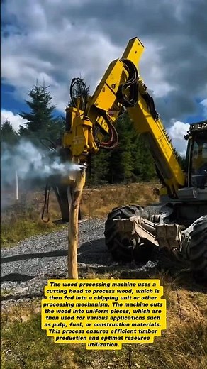 Wood Processing Machine in Action: Efficient Timber Production!