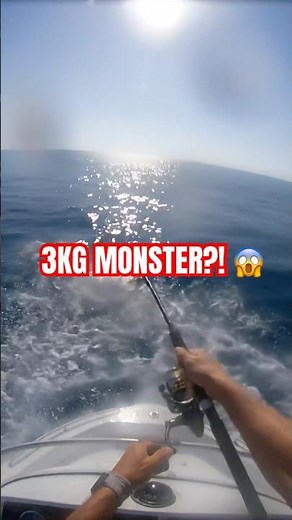 Testing the new Daiwa setup! 🎣 Unexpected strike. #fishing #shorts #daiwa #anglerpulse
