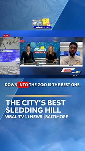 Where's the best sledding hill in the city? Baltimore Mayor Brandon M. Scott weighs in! https://www.wbaltv.com/article/baltimore-snow-sledding-big-hill-dumbarton-middle-school/70130252 | WBAL-TV 11 Baltimore