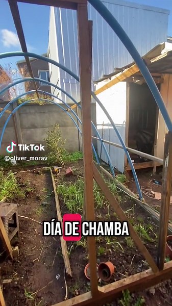 Construcción de Invernaderos en Casa: Parte 1