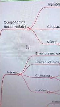 la celula eucariota desde cero #biology