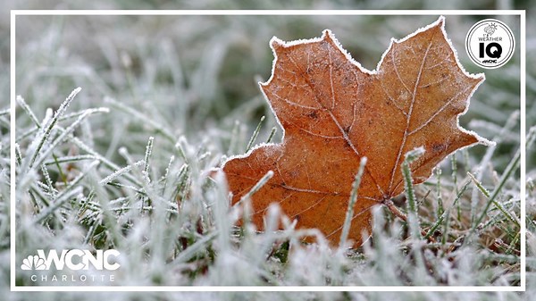 Weather IQ: How frost forms when the temperature is above 32 degrees