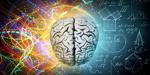 ¿Cuáles son las Características del Conocimiento?