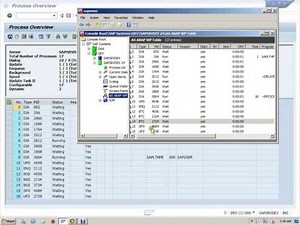 SAP Daily monitoring