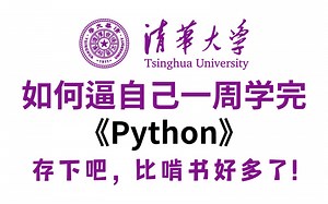 清华大学一周讲完的Python教程，整整300集，全程干货无废话，学完即可上岗《零基础入门学习python》