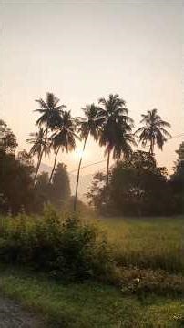 village nature #nature #shortsviral