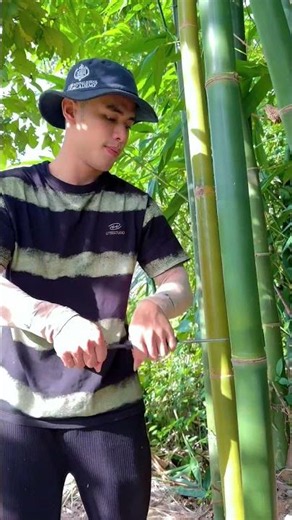 Survival Skills: How to Get Water from a BAMBOO Tree 💧#bamboo #survival #outdoor