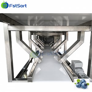 [Hot Item] Blueberry Processing Machine Blueberry Packing Bluebeery Selector Blueberry Classifier Blueberry Sorting Machine Blueberry Grading Machine Blueberry Sizer