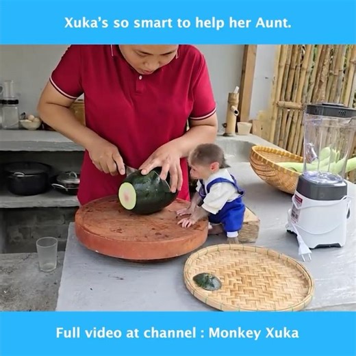 So smart. Baby Monkey Xuka knows how to help her aunt #babymonkey #monkeyxuka #funnyanimals