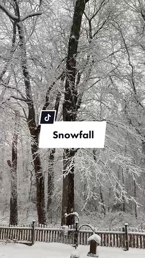 SnowFrickenWhite on TikTok