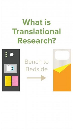 What is translational research?