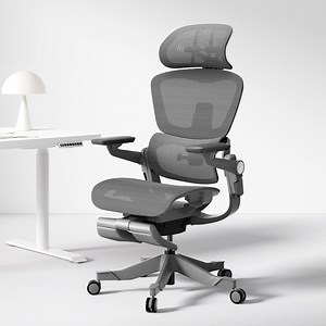 Hinomi H1 Pro Ergonomic Office Chair with 3D Lumbar Support