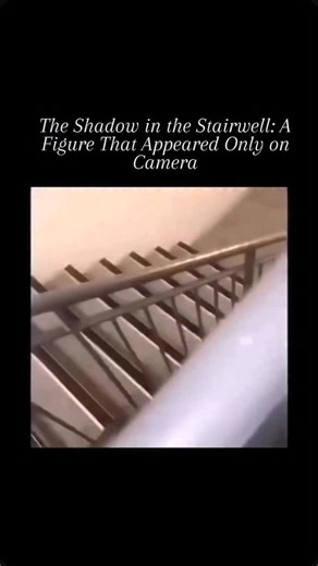 CrimeShort on Instagram: "In November 2019, a young Russian man named Alexei decided to film an old, abandoned residential building in the city of Novosibirsk. The building was tall, with 22 floors, and had been deserted for years after a mysterious fire broke out inside it. Since then, no one lived there except for an occasional security guard who watched the ground floor. Alexei began recording as he climbed the long metal staircase. The place was unnervingly silent, broken only by the sound o