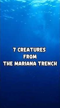 7 creature from mariana trench