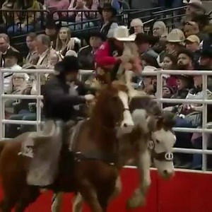 19K views · 764 reactions | SAN ANTONIO, Texas - Watch THIS!  Brody Cress and Bronc of the Year Womanizer go 90.5. • 14 DAYS TO NFR! Brody Cress Professional Saddle Bronc Rider Cervi Championship Rodeo Company CowboyChannel | Bronc Riding Nation | Facebook