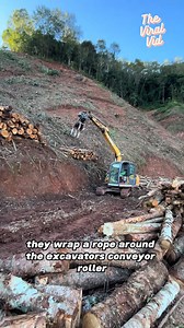 Genius Logging Hack You've Never Seen Before | The Viral Vid