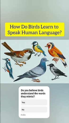 Birds mimicking human speech (like parrots and ravens)