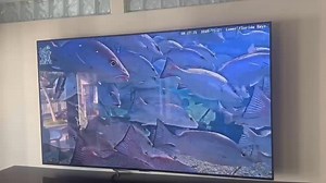 1.2K views · 20 reactions | Fish were excited this morning. Watch to the end to see why! Thanks to Viva The Keys! | Andy Griffiths | Facebook