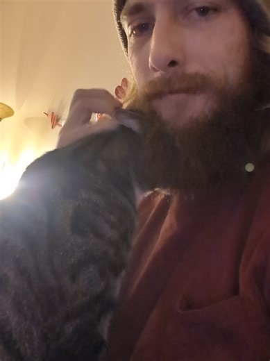 Understanding Your Cat's Affection