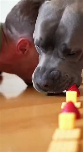 Ultra Competitive Eating Race on the Floor! 🐶🤣 #FastEats #Challenge