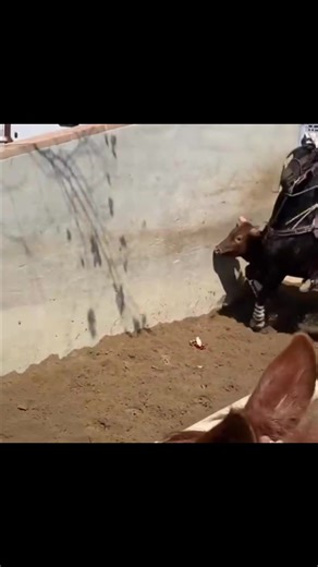 Sevenfiveseven (@sevenfiveseven1)’s videos with original sound - Sevenfiveseven