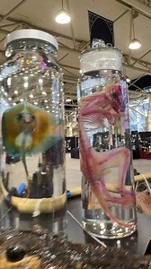 Let’s go shopping for diaphonized specimens 💜💙💗 | Oddities & Curiosities Expo
