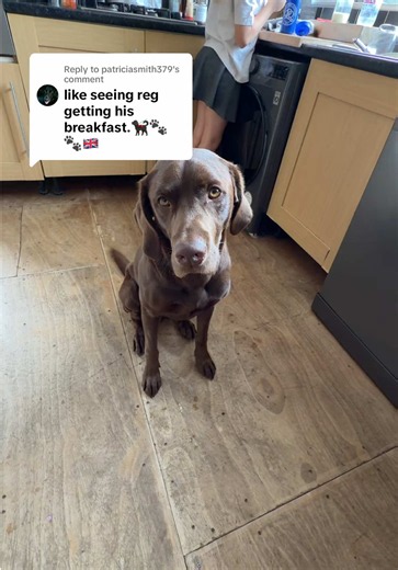 Reg Breakfast & Fish Update