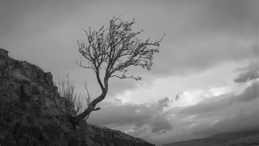 The Joy of Infrared Landscape Photography