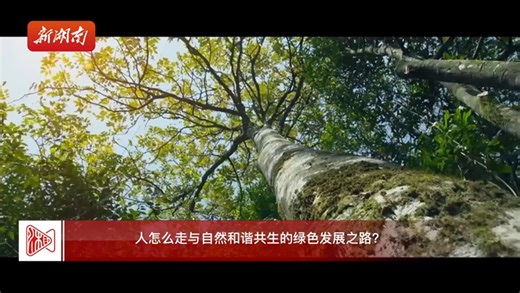 湖南南山国家公园