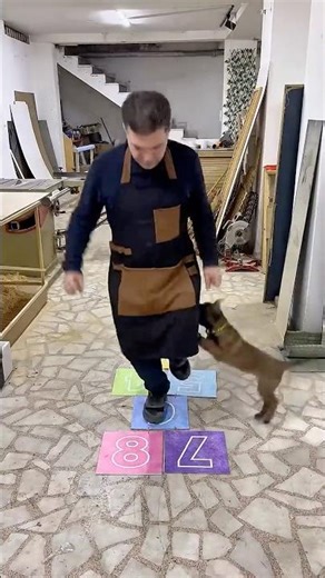 I Built a Hopscotch Game From Scratch… Then My Dog STOLE the Show 🐶🔥 #shorts #keşfet #viral
