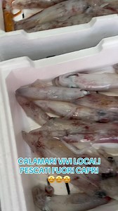 🤩🤩 CALAMARI VIVI PESCATI FUORI CAPRI 🤩🤩 | I Diamanti Del Mare Di Gennaro Di Napoli