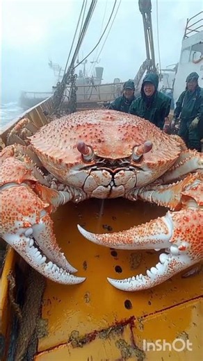 amazing Animals Growth Journey #animals #funny #wildlifeexploration