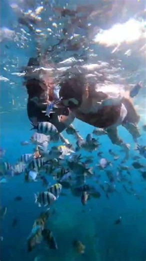 UNDER THE SEA OF KARIMUN JAWA ll JAWA TENGAH