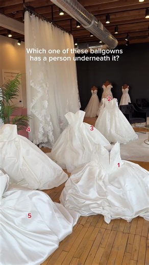Choose Your Favorite Poofy Ballgown!