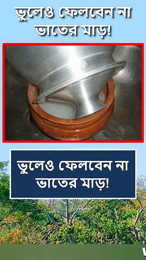 ভুলেও ফেলবেন না ভাতের মাড় 😱 #Reels #reelsvideo #foryou #foryoupage #fyp #reelsfb #viralreels #reelsviral #rice #motivation | World Data Knowledge