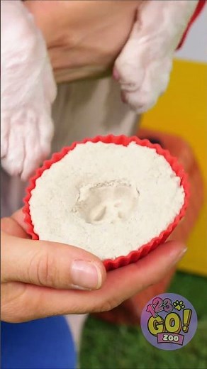 Dog-Inspired Paw Print Lock?! 🐶🔒 DIY Security Fun!