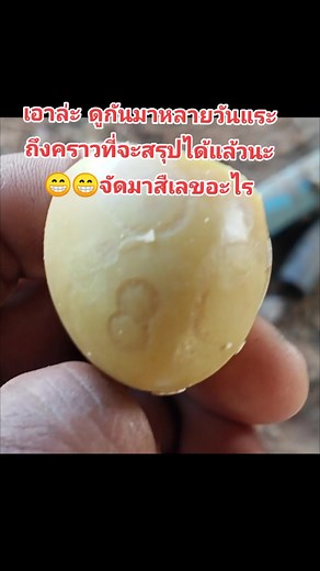 Fresh Lemons: A Close-Up Guide to Citrus Fruits