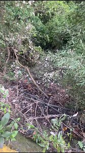 #Pereira Grave accidente de hinchas del Deportivo Pereira en el Alto de Boquerón La madrugada de este domingo, un grupo de hinchas del Deportivo Pereira sufrió un grave accidente de tránsito cuando regresaban de la ciudad de Tunja, tras acompañar a su equipo. El siniestro ocurrió hacia las 5:00 de la mañana en el sector del Alto de Boquerón, donde el vehículo en el que se movilizaban cayó por un abismo de aproximadamente 200 metros de profundidad. Como resultado, cinco personas resultaron lesion