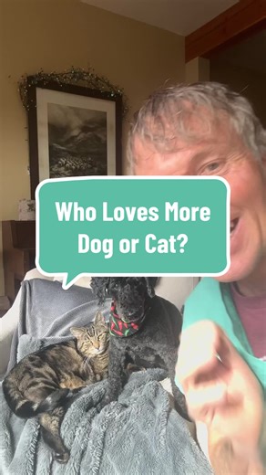 Do Cats Love People Less Than Dogs?