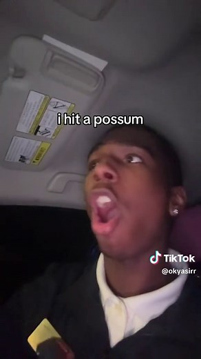 Are Possums Dangerous? Key Facts About These Creatures